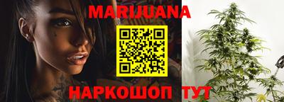 apvp Пугачёв