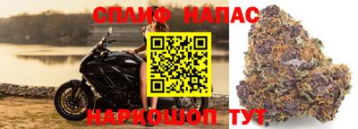трава Пыть-Ях