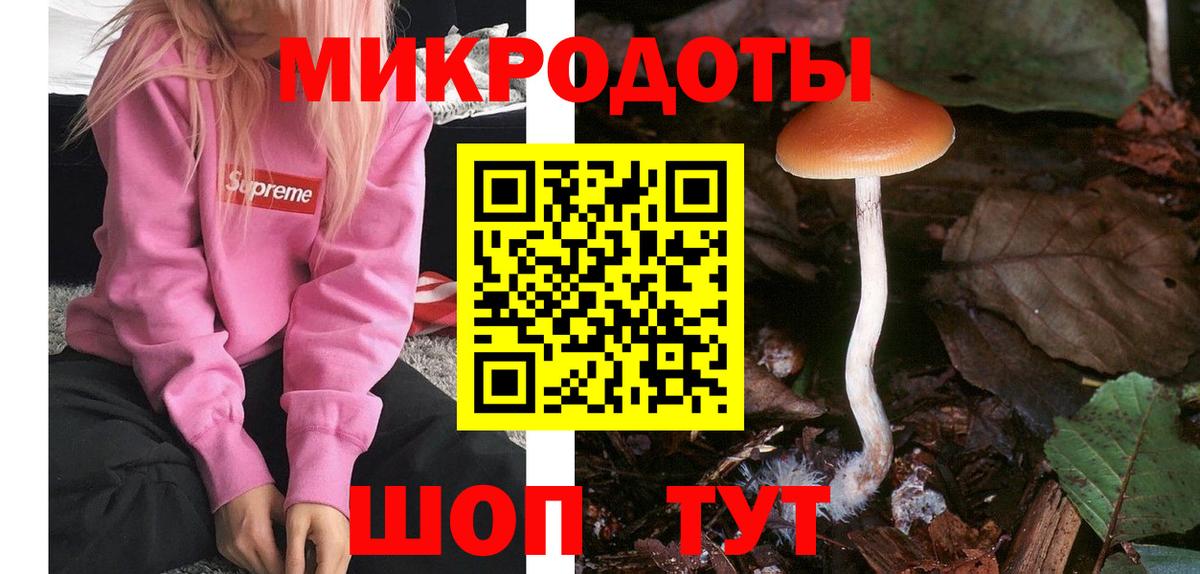 Галлюциногенные грибы мухоморы Новоалтайск